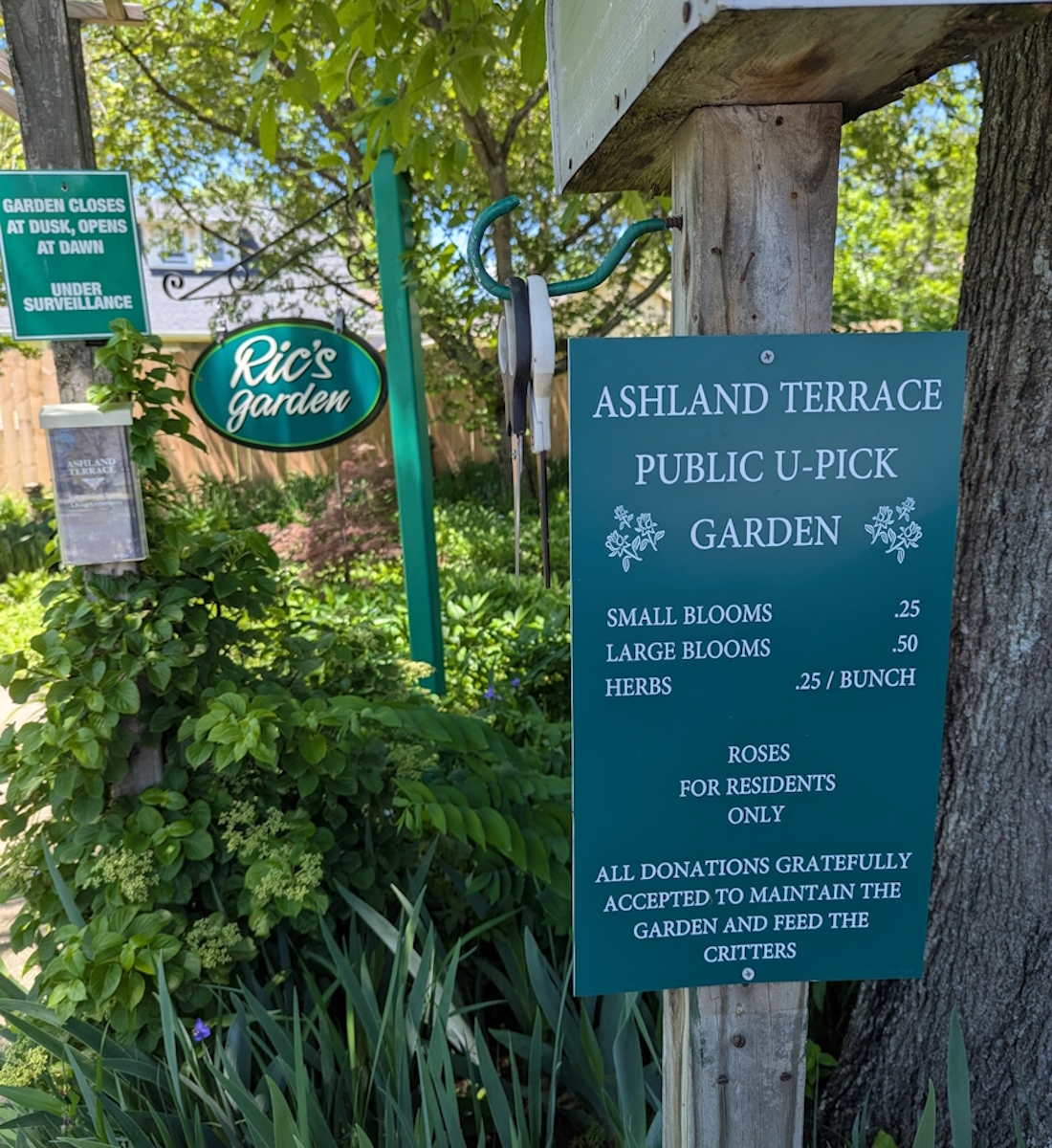 4669269459348281043-RS